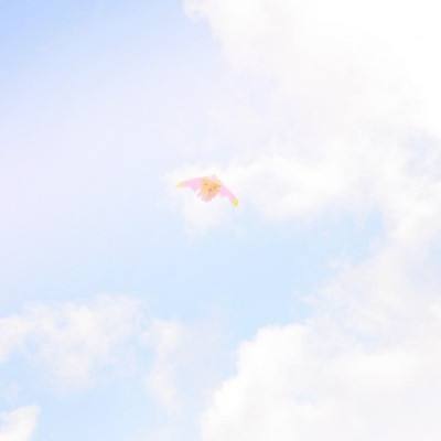 我叫mt3公益服无限符石版下载